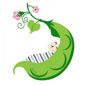 Sweet Pea Births blogs about a day in the life of a family of 6+