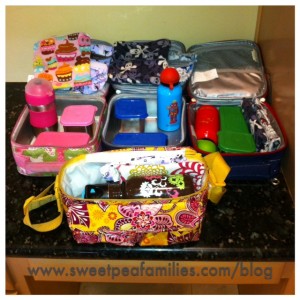 A mix of Vera Bradley, PBKids, and Itsy Ritzy.  Since switching over to reusable containers we hardly ever use plastic baggies - don't miss them at all!