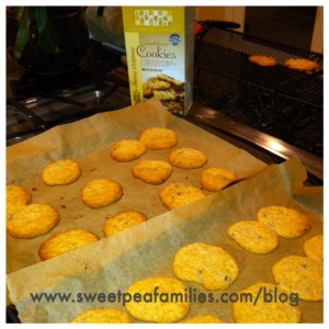 Chocolate Chip Cookies using 1-2-3 Gluten-Free Mix and Enjoy Life Chocolate Chips