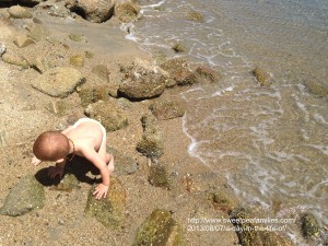 exploring at the beach this day. 