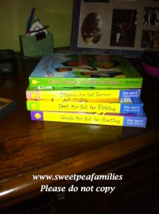 Books that are in our room for a peaceful family training at the end of the day...we hope the ideas seep in over night!