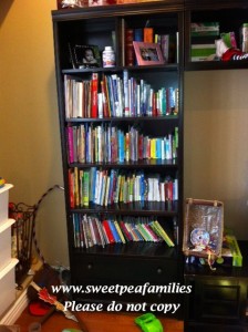 Playroom bookshelf