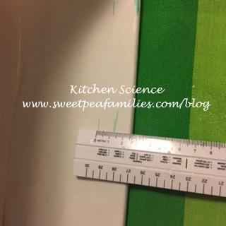 Kitchen Science02