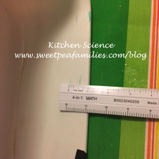 Kitchen Science04