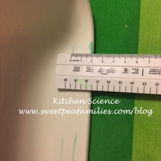 KitchenScience01