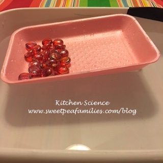 KitchenScience12