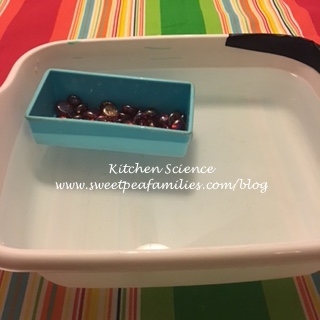 KitchenScience15