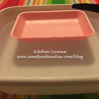 KitchenScience16