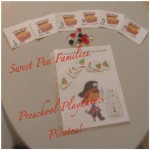 Preschool Play Date | Sweet Pea Families